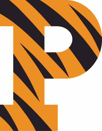 Princeton Tigers iron ons